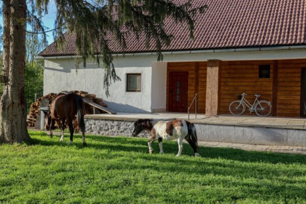 Fekete Gólya Fogadó épület